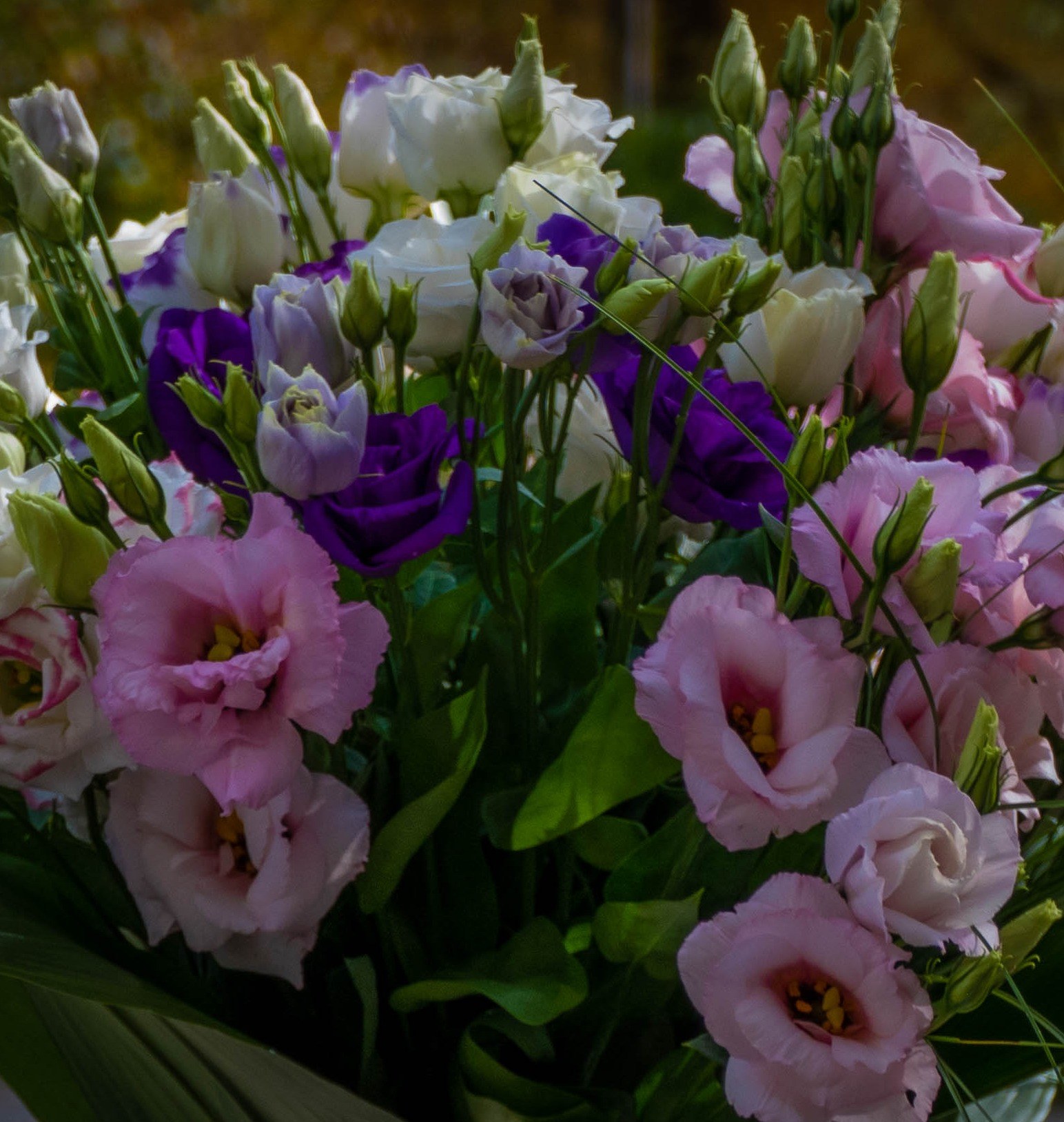 Bouquet rond de lisianthus multicolore