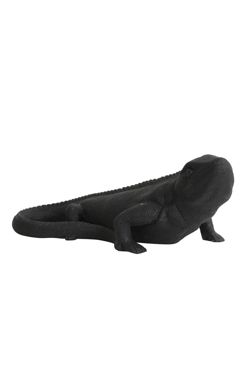 reptile noir GM