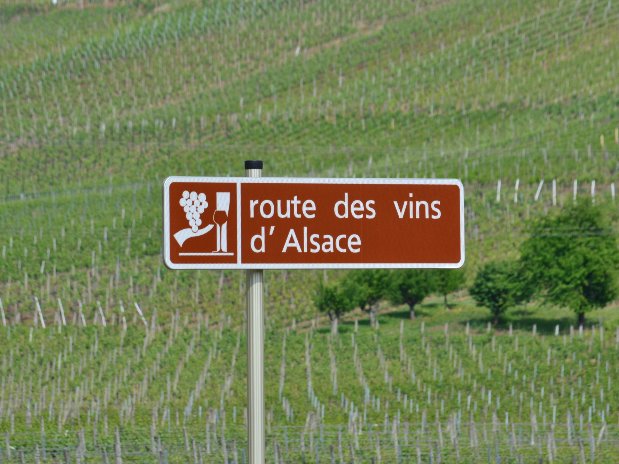 Route des vins d'alsace