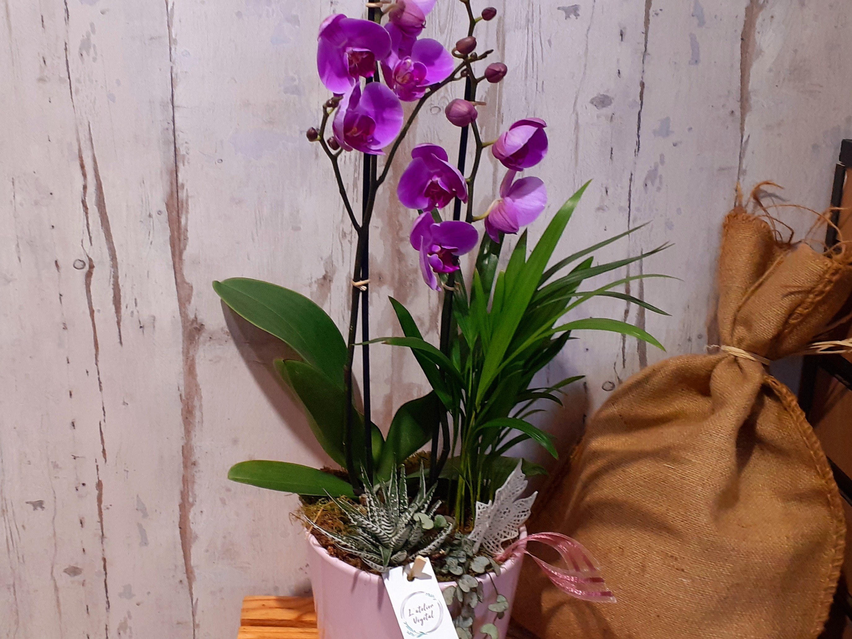 Composition orchidée 