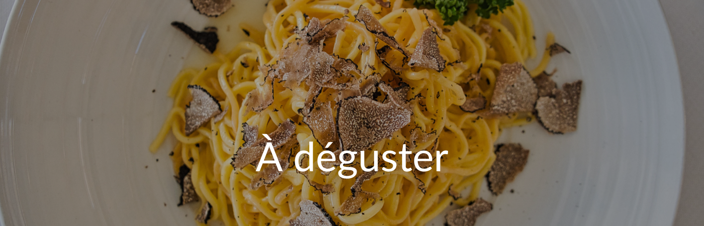 vacances-gastronomiques-charente-dordogne-camping