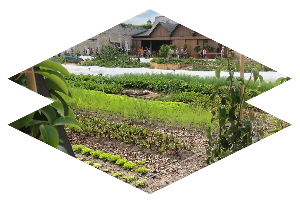 Hotel restaurant chambord - potager