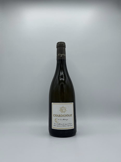 IGP Chardonnay 2019 