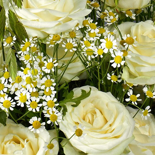 2 Composition florale Alpe d'Huez Roses blanche 
