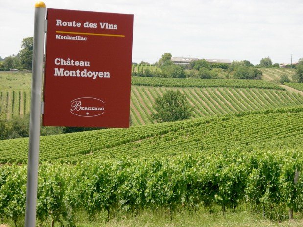 Vignobles de Montdoyen-perigord-dordogne-lot et garonne-chambre d'hotes-moulin de labique
