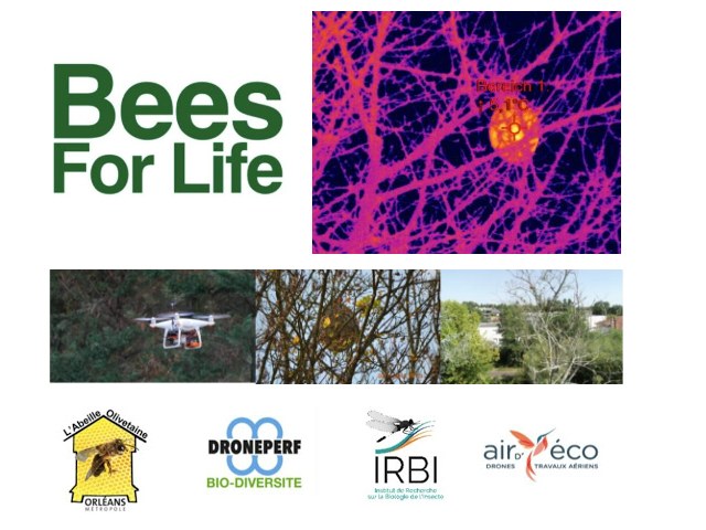 lidar-topographie-imagerie-aerienne-bees-for-life