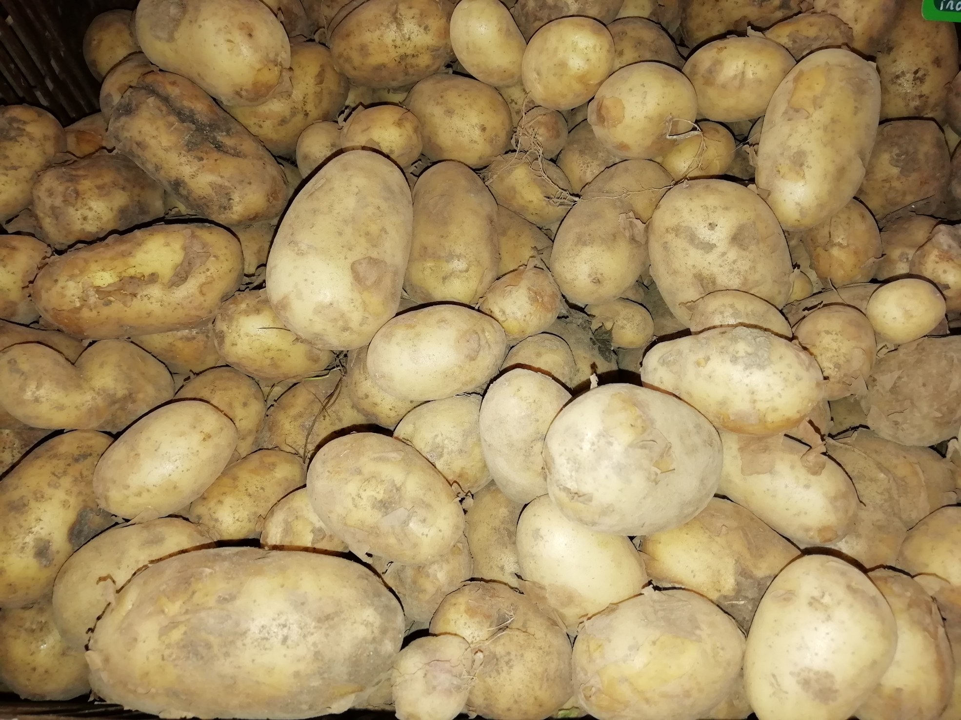 Pommes de terre vrac