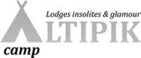 logo Altipik
