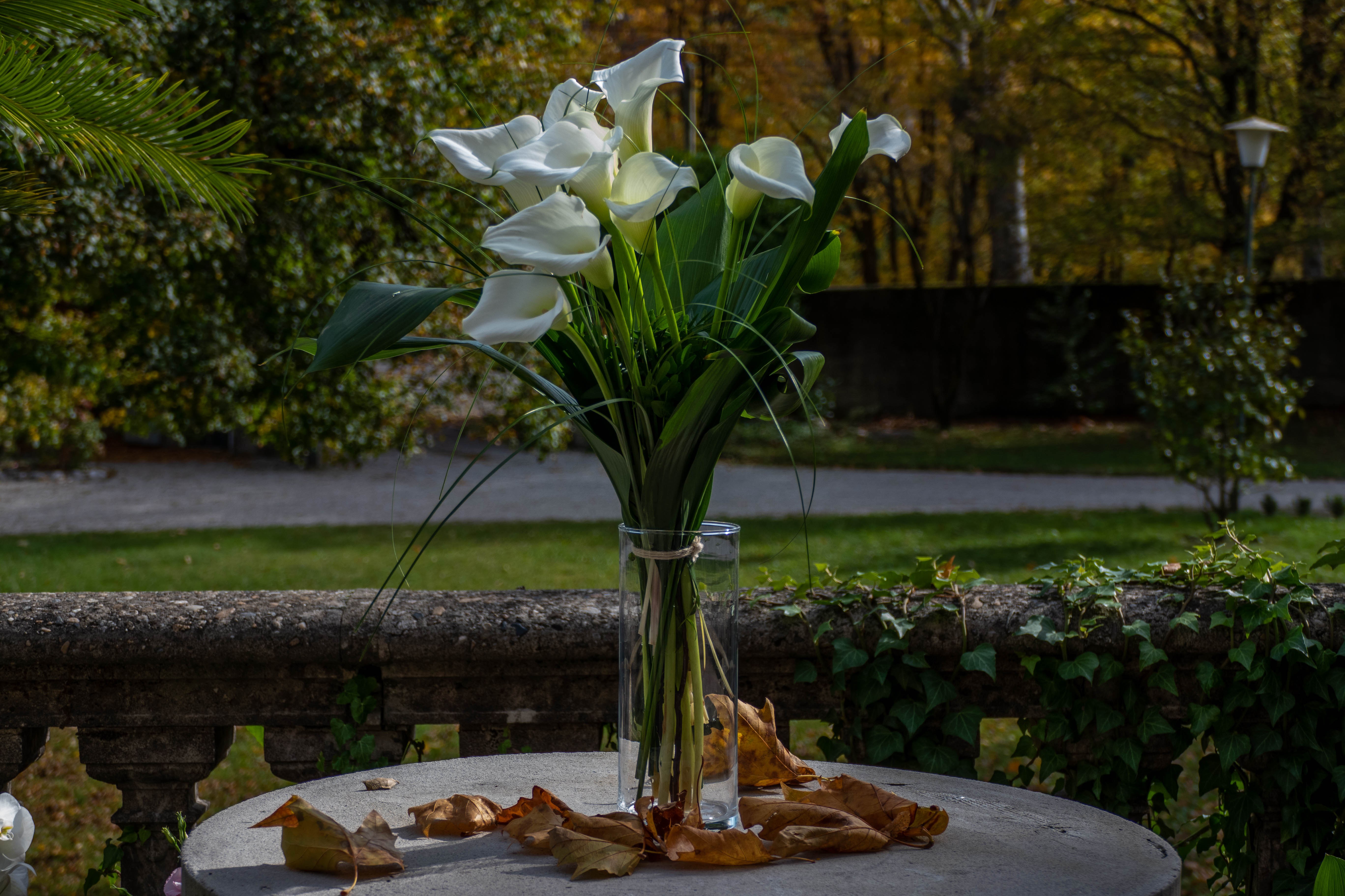 Bouquet de Calla blanc