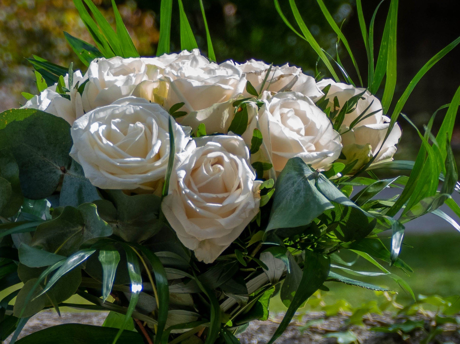 Bouquet rond de roses blanches