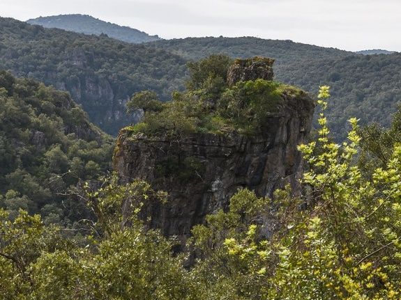 Canyonning Hérault