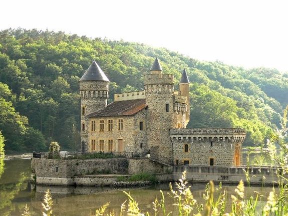 Château de la roche Loire 